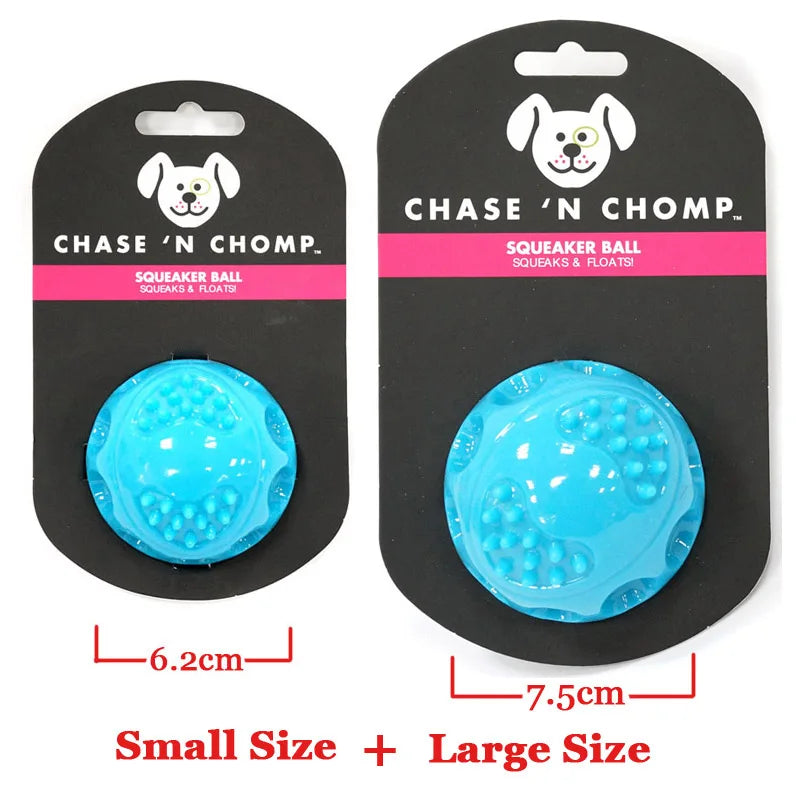 Squeaky Bouncing Dog Ball Toy | Durable Floatable Bite Resistant Pet Toy