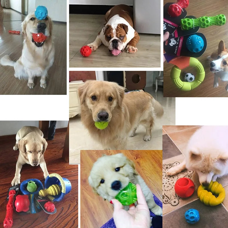 Squeaky Bouncing Dog Ball Toy | Durable Floatable Bite Resistant Pet Toy