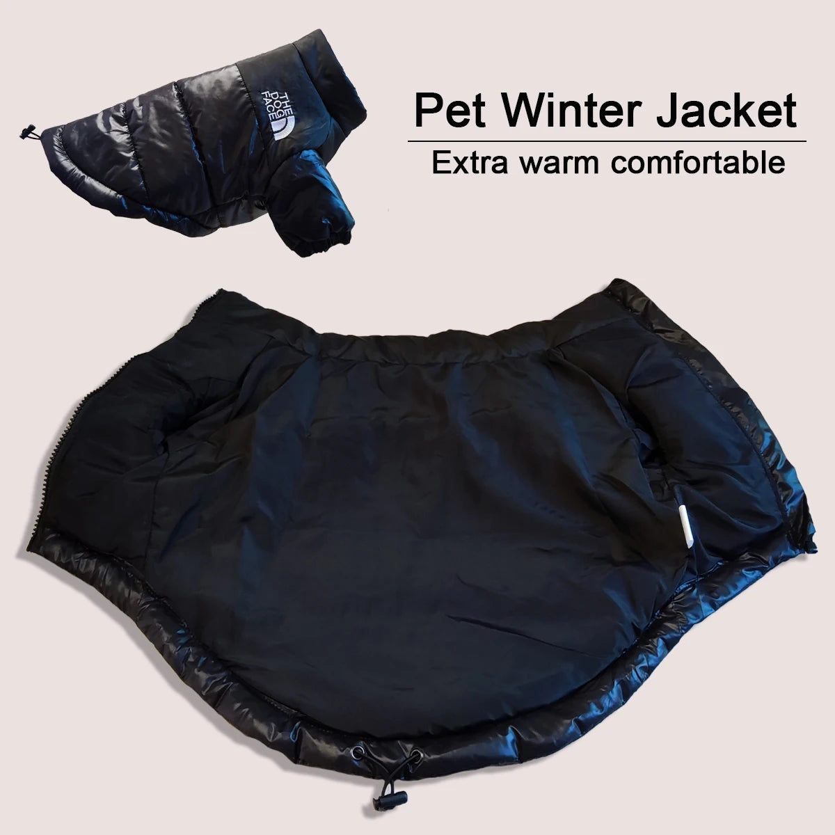 Winter Windproof Dog Jacket | Reflective Coat for Small & Medium Dogs