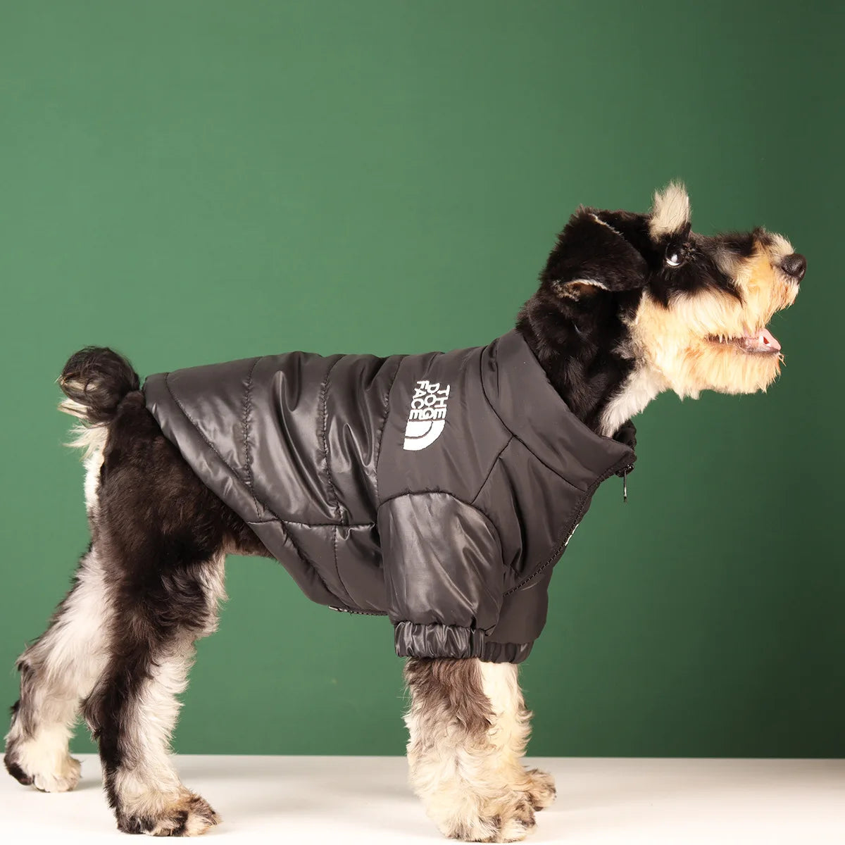 Winter Windproof Dog Jacket | Reflective Coat for Small & Medium Dogs