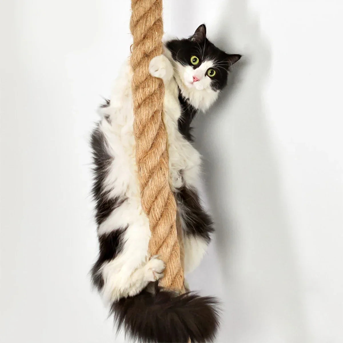 Wall Mounted Wooden Cat Tree Climbing Shelf | Sisal Rope Claw Grinding Indoor Furniture