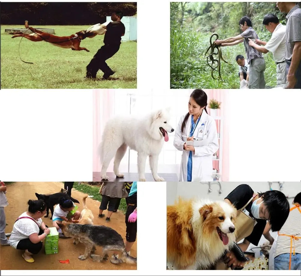Anti-Bite Pet Protection Gloves | Thickened Leather Training Gloves for Dogs & Cats
