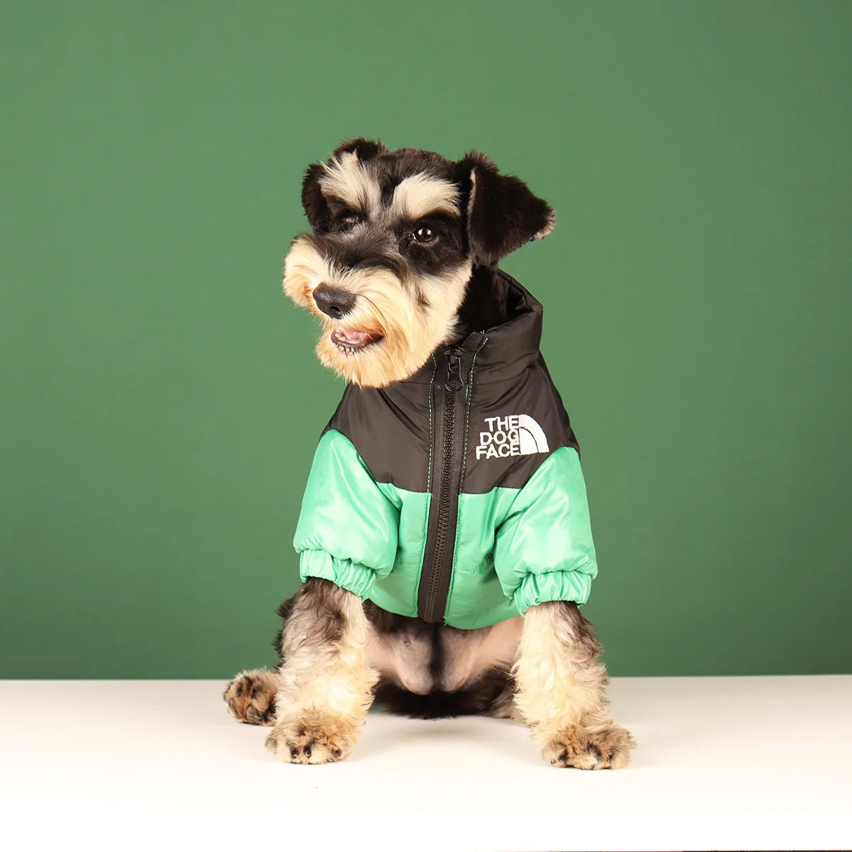Winter Windproof Dog Jacket | Reflective Coat for Small & Medium Dogs