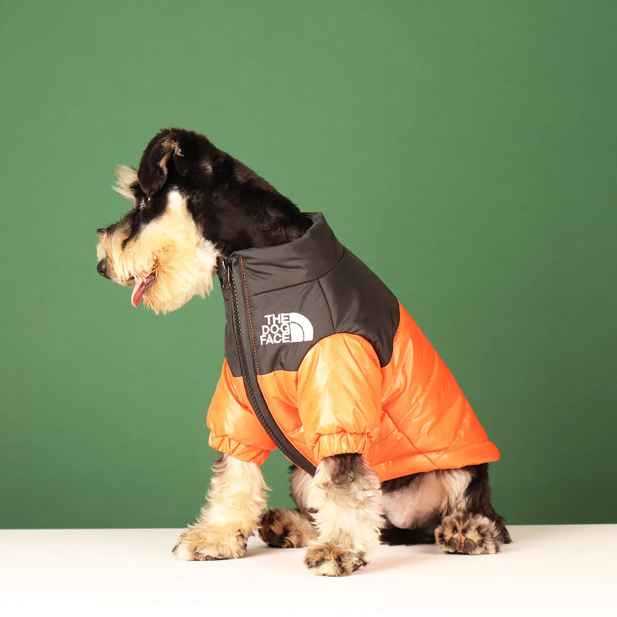 Winter Windproof Dog Jacket | Reflective Coat for Small & Medium Dogs