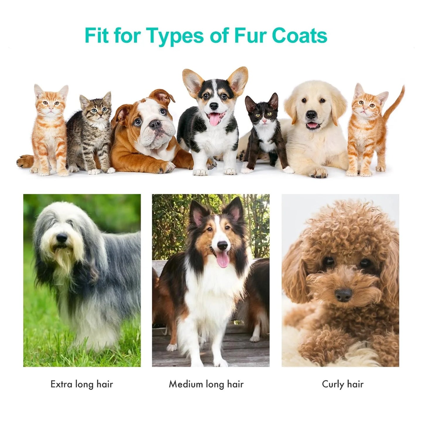 Pet Grooming Kit & Vacuum Clipper | 6-Size Guide Combs for Cats