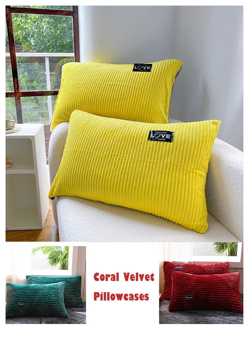 3PCS Winter Coral Fleece Bedding Set | Thick Duvet Cover & Pillowcase King Queen Twin