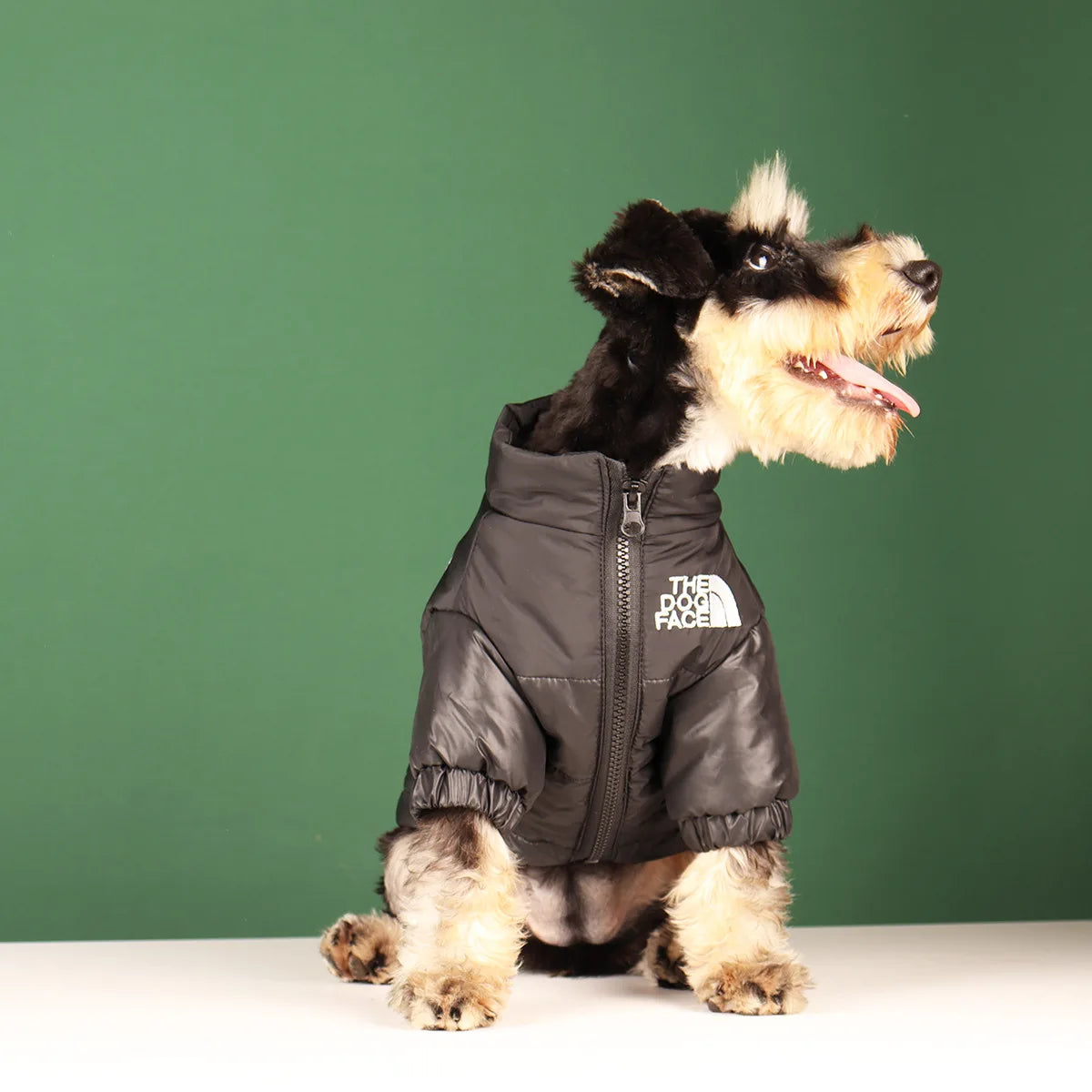 Winter Windproof Dog Jacket | Reflective Coat for Small & Medium Dogs