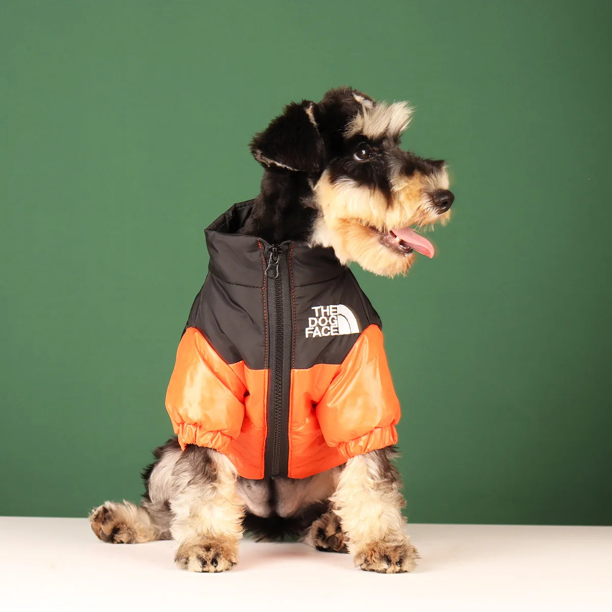 Winter Windproof Dog Jacket | Reflective Coat for Small & Medium Dogs