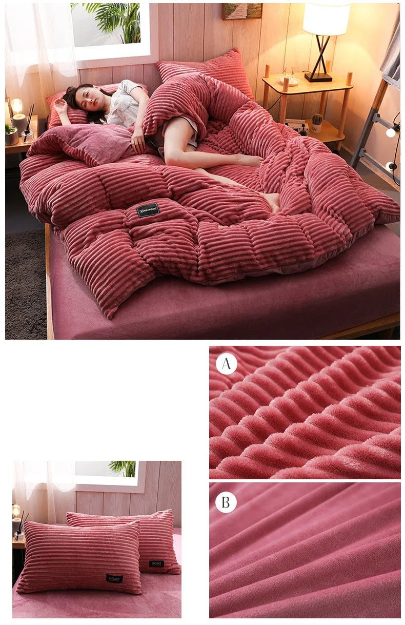 3PCS Winter Coral Fleece Bedding Set | Thick Duvet Cover & Pillowcase King Queen Twin
