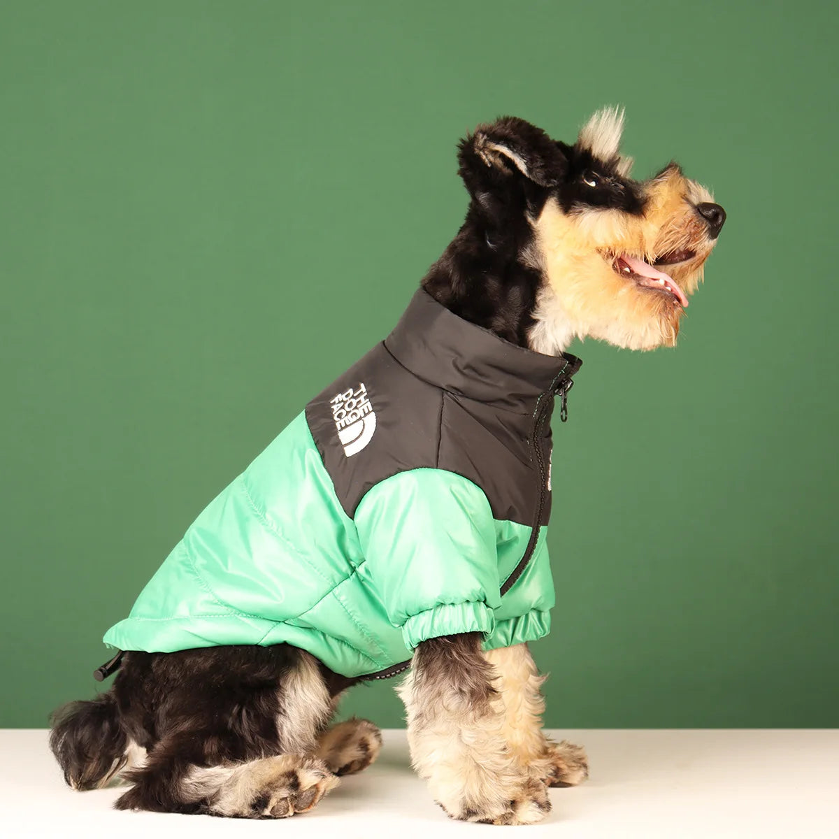 Winter Windproof Dog Jacket | Reflective Coat for Small & Medium Dogs
