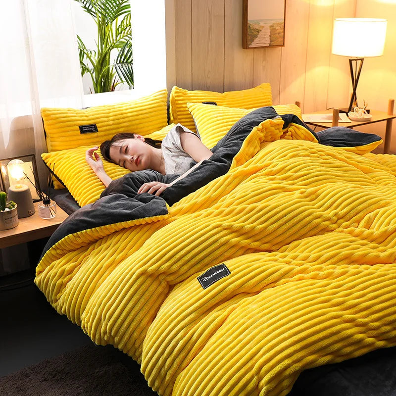 3PCS Winter Coral Fleece Bedding Set | Thick Duvet Cover & Pillowcase King Queen Twin
