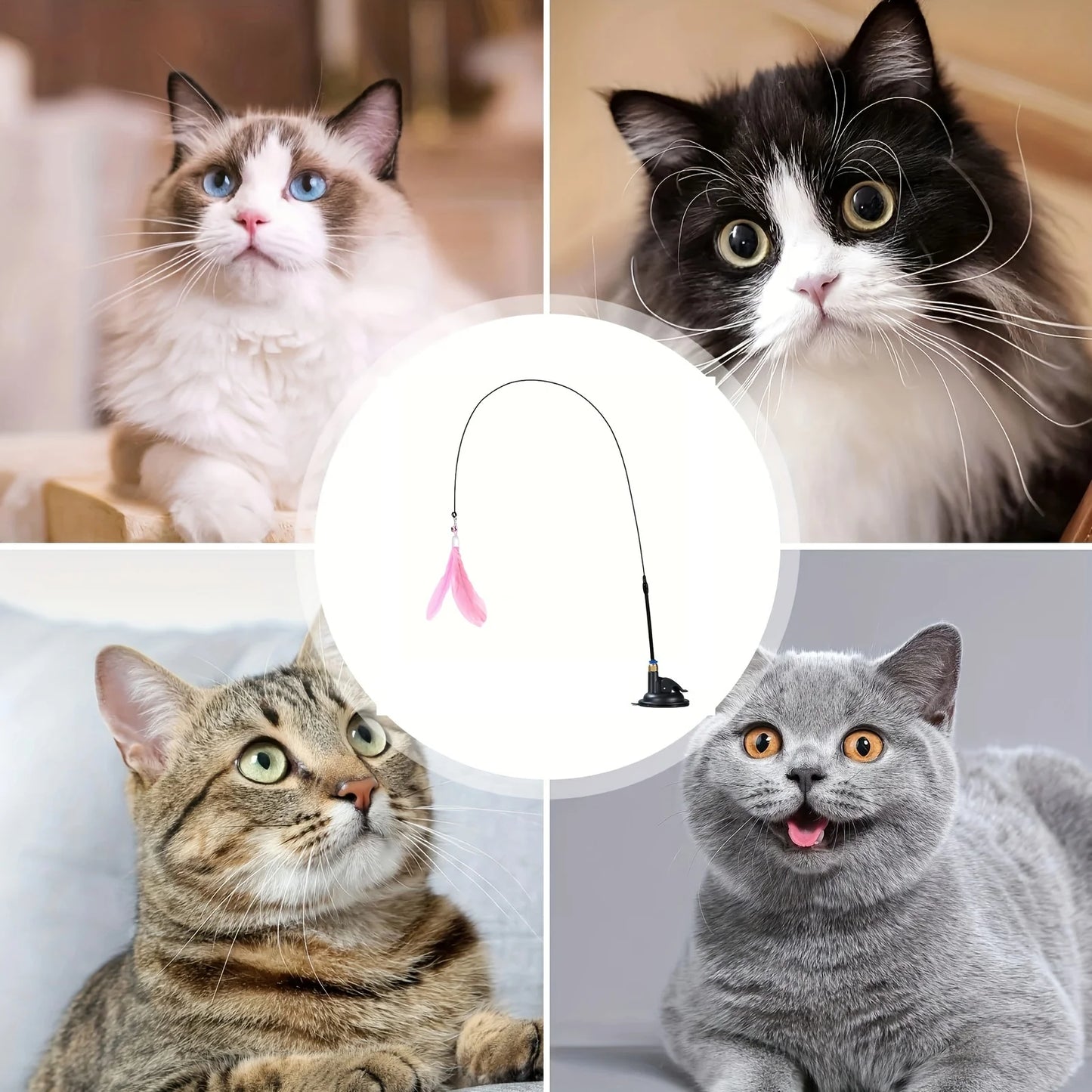 Interactive Cat Feather Wand Teaser | Bell & Suction Cup Pole Toy for Cats