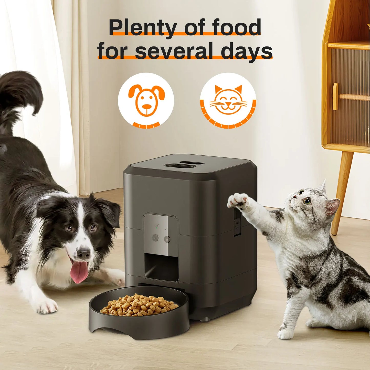 Smart Automatic Pet Feeder | Timed Food Dispenser for Dogs