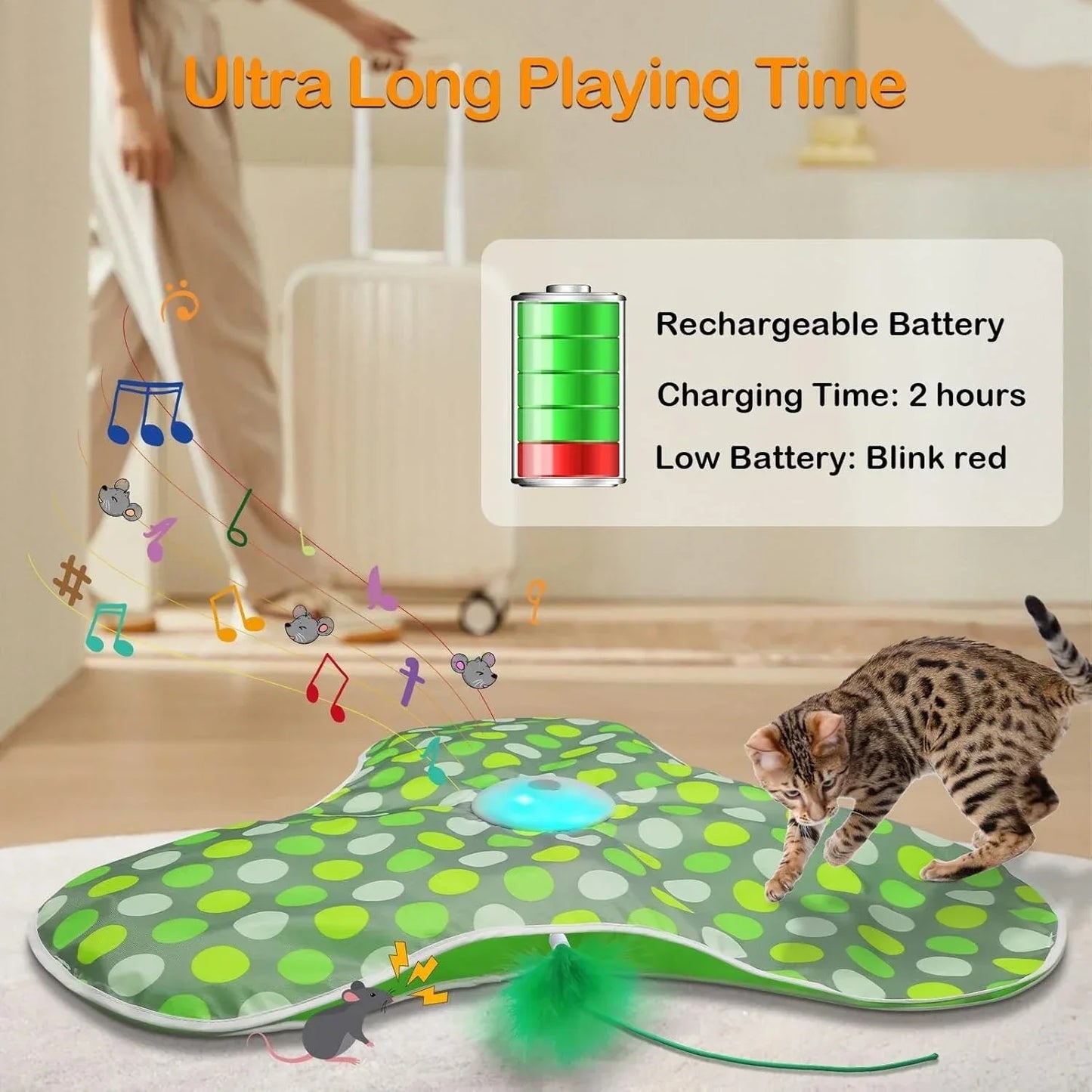 Smart Hide & Seek Cat Toy | Motion Activated Mouse & Feather Kitten Teaser