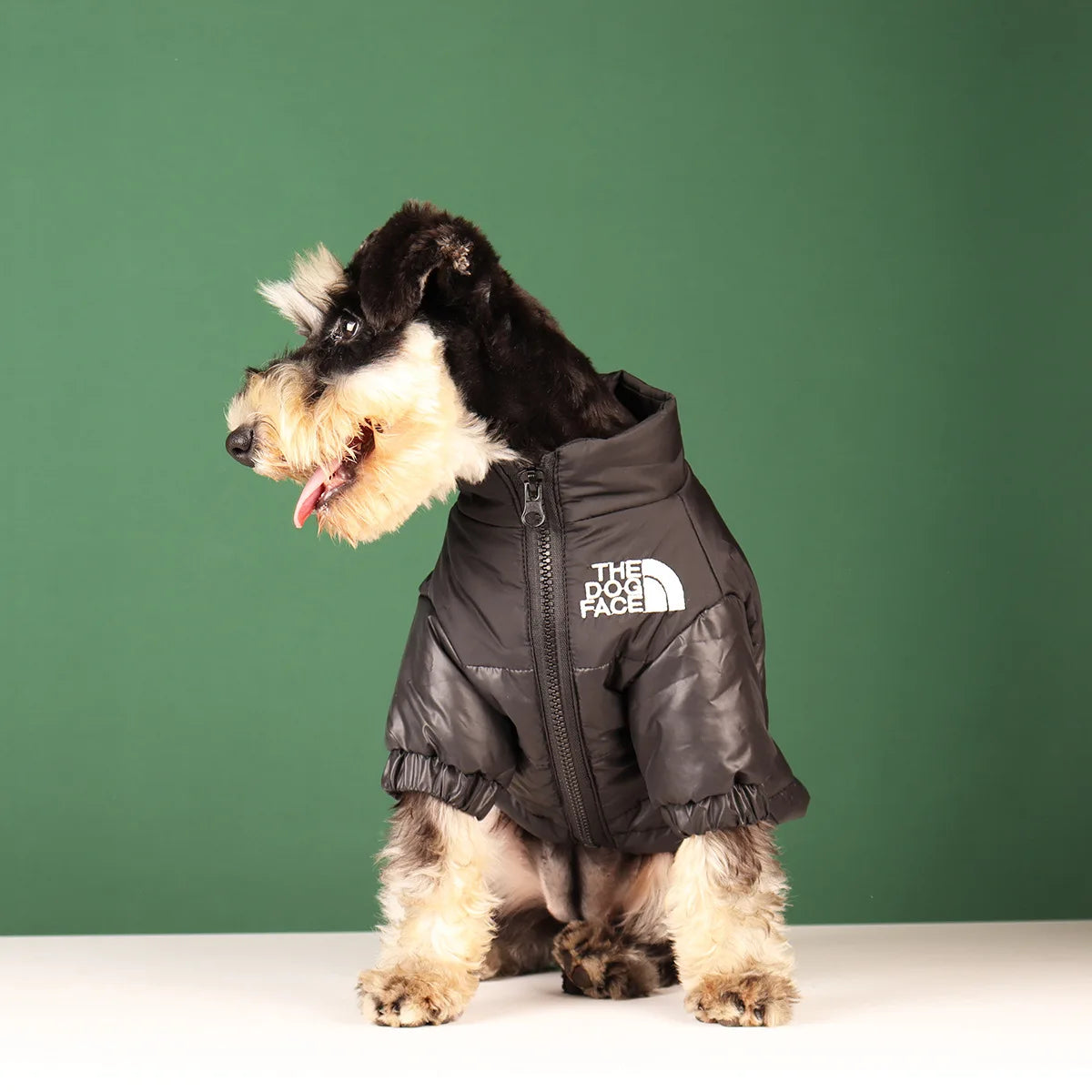 Winter Windproof Dog Jacket | Reflective Coat for Small & Medium Dogs