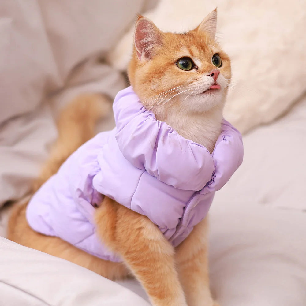 Soft Padded Dog Vest Jacket | Warm Winter Coat for Small & Medium Dogs