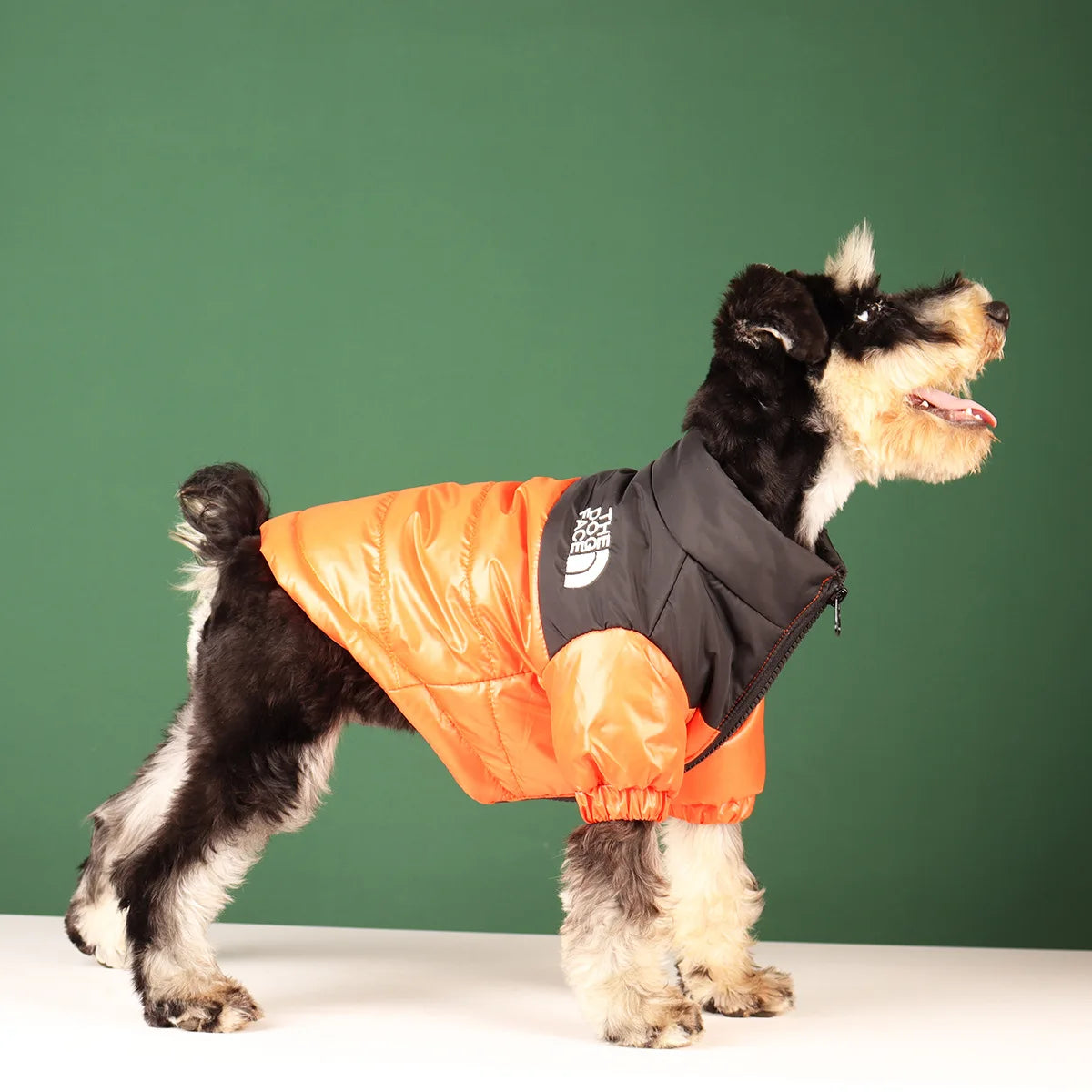 Winter Windproof Dog Jacket | Reflective Coat for Small & Medium Dogs