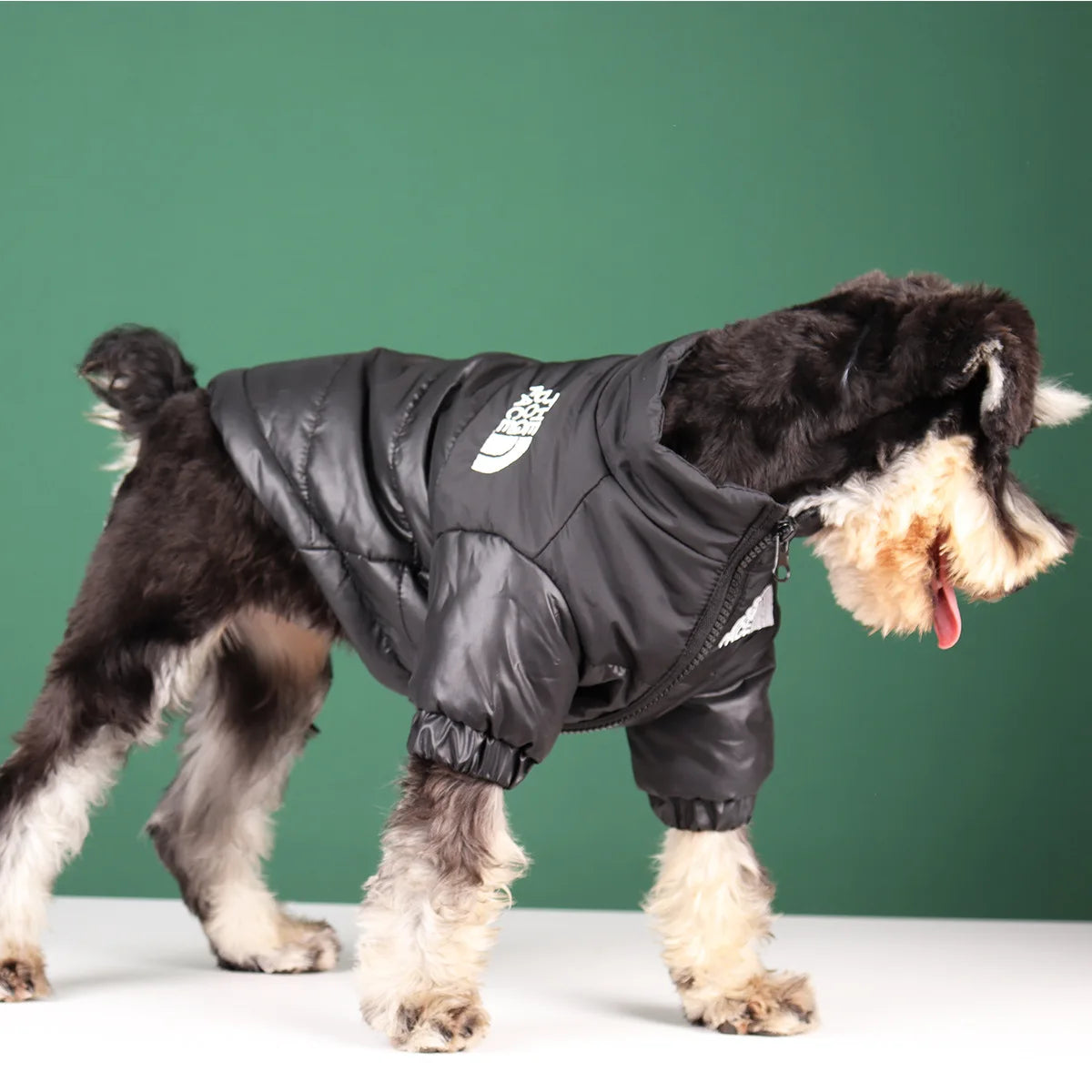 Winter Windproof Dog Jacket | Reflective Coat for Small & Medium Dogs