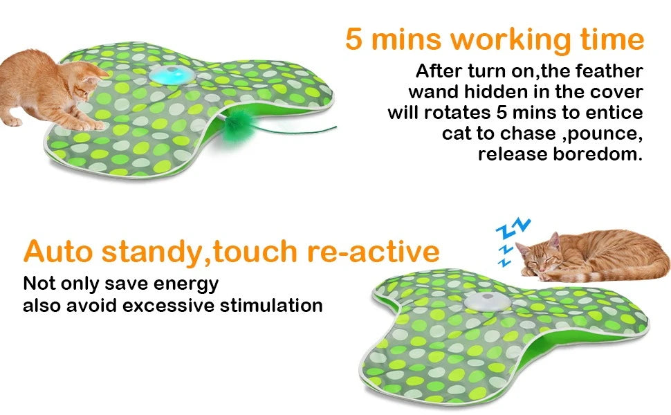 Smart Hide & Seek Cat Toy | Motion Activated Mouse & Feather Kitten Teaser
