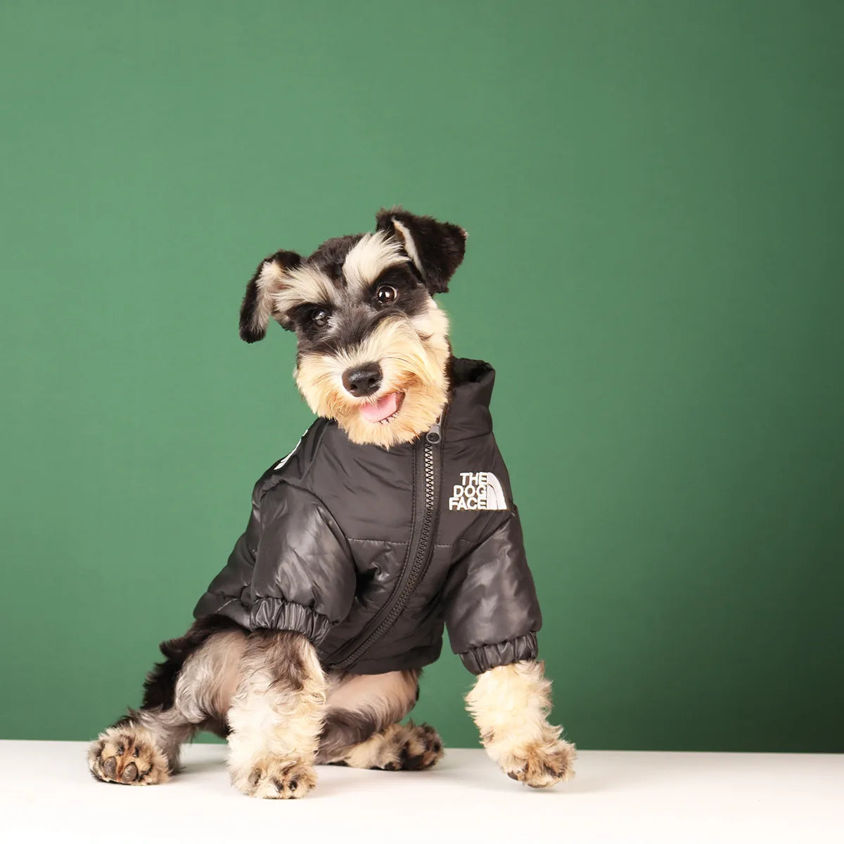 Winter Windproof Dog Jacket | Reflective Coat for Small & Medium Dogs