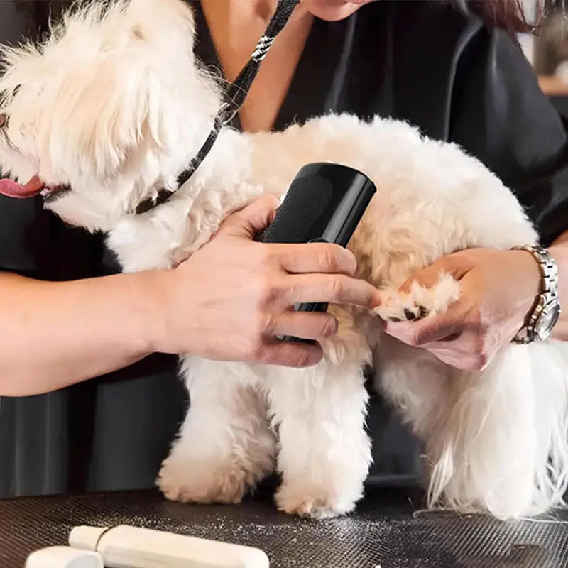 Professional Dog Deshedding Brush | Ergonomic Pet Hair Remover Tool