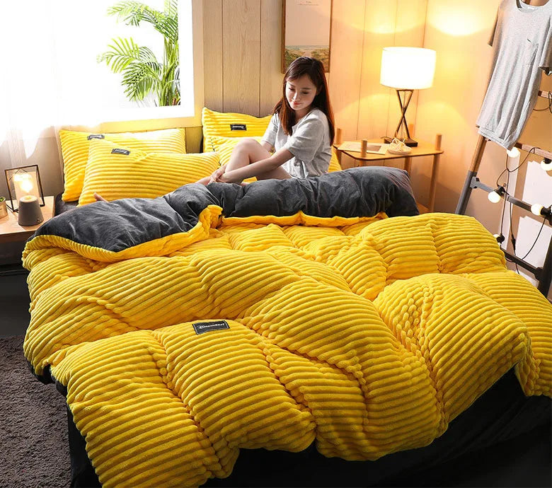 3PCS Winter Coral Fleece Bedding Set | Thick Duvet Cover & Pillowcase King Queen Twin