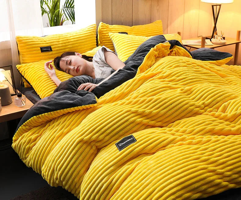 3PCS Winter Coral Fleece Bedding Set | Thick Duvet Cover & Pillowcase King Queen Twin