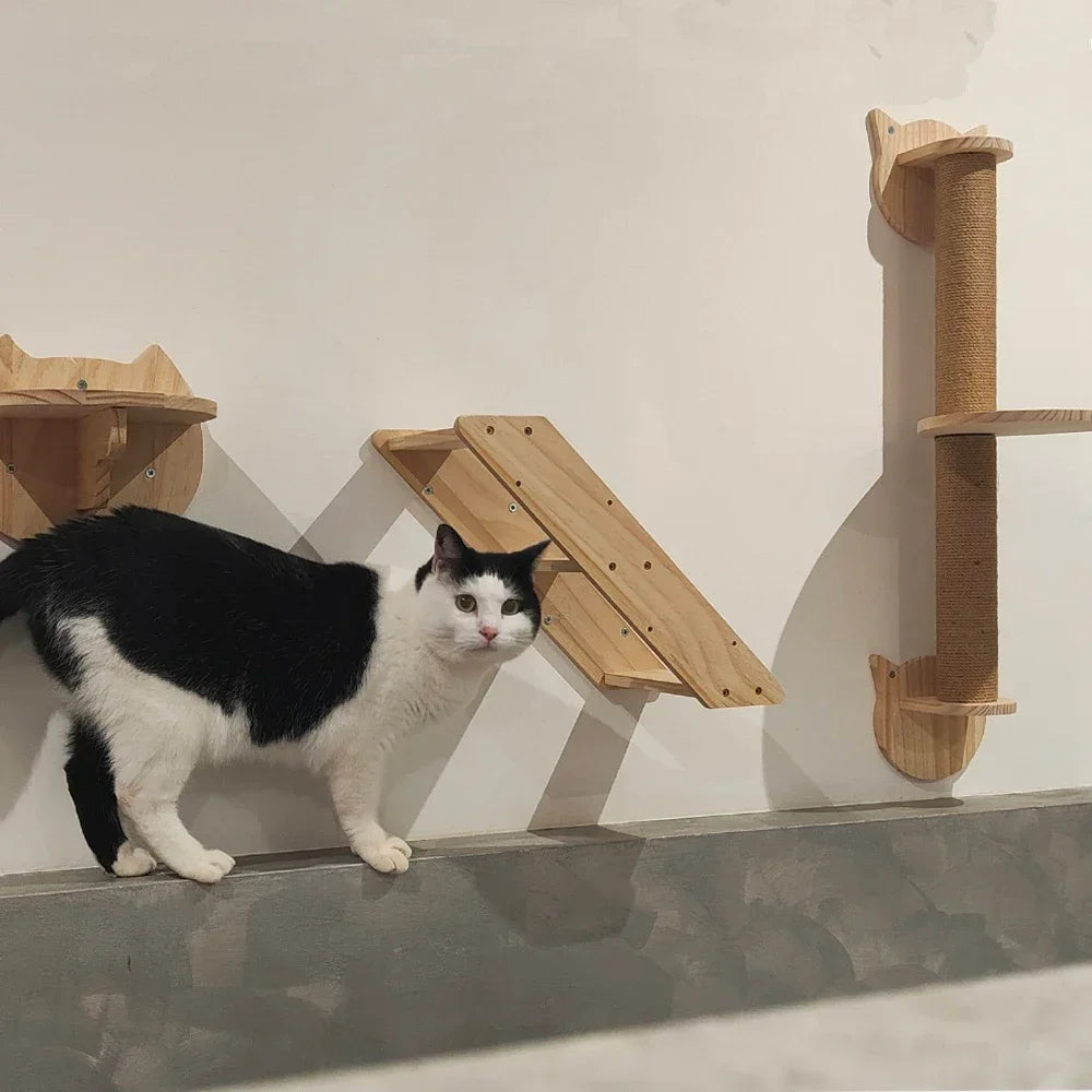 Wall Mounted Wooden Cat Climbing Shelf & Bridge | Safety Net Steps for Cats & Kittens