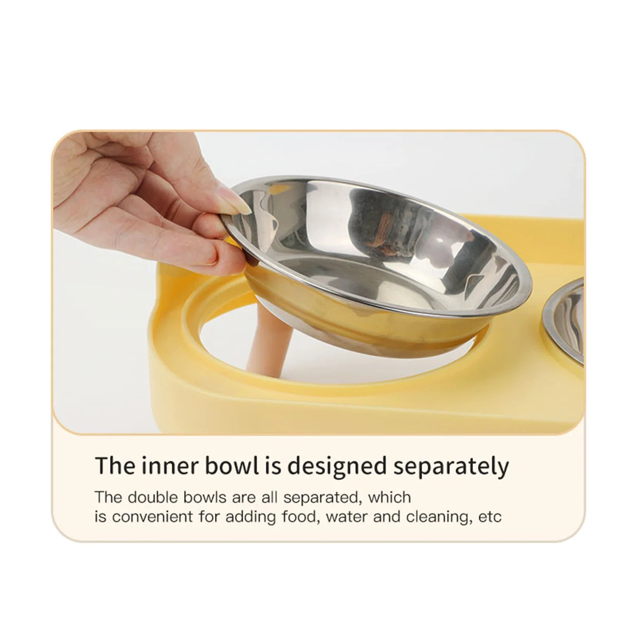 Colorful Stainless Steel Dog Double Bowl | Large Capacity Food & Water Feeder