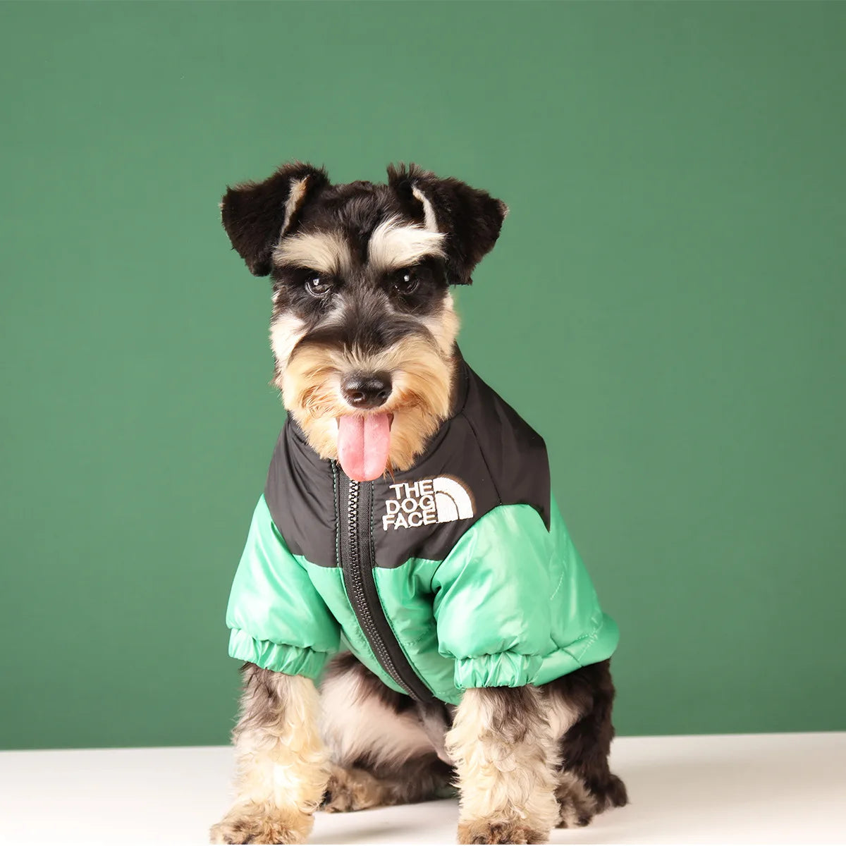 Winter Windproof Dog Jacket | Reflective Coat for Small & Medium Dogs