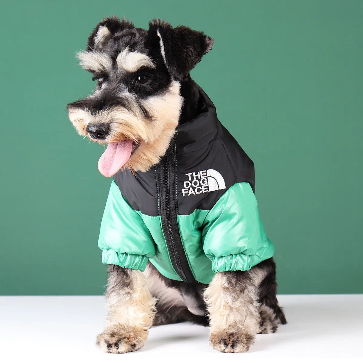 Winter Windproof Dog Jacket | Reflective Coat for Small & Medium Dogs