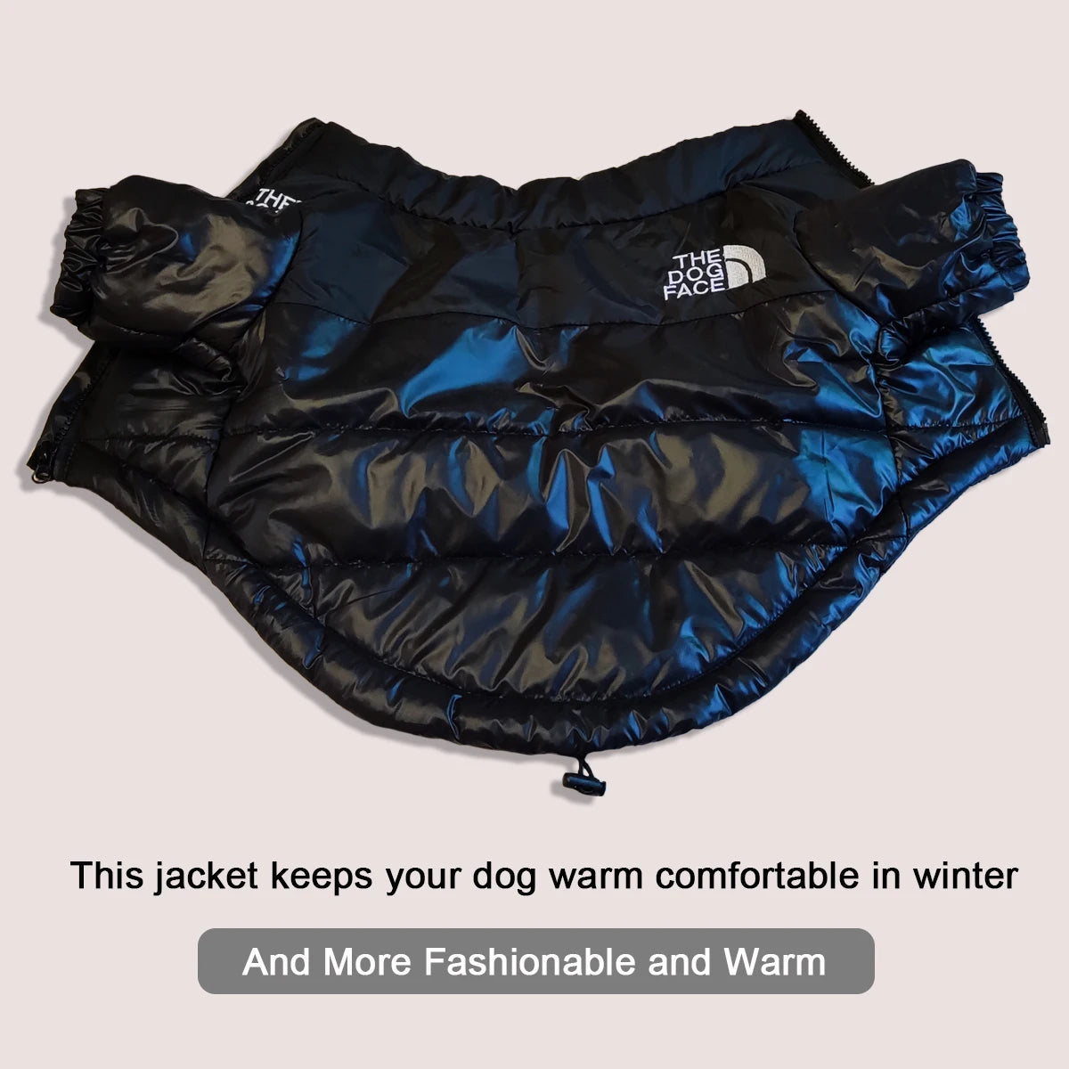 Winter Windproof Dog Jacket | Reflective Coat for Small & Medium Dogs