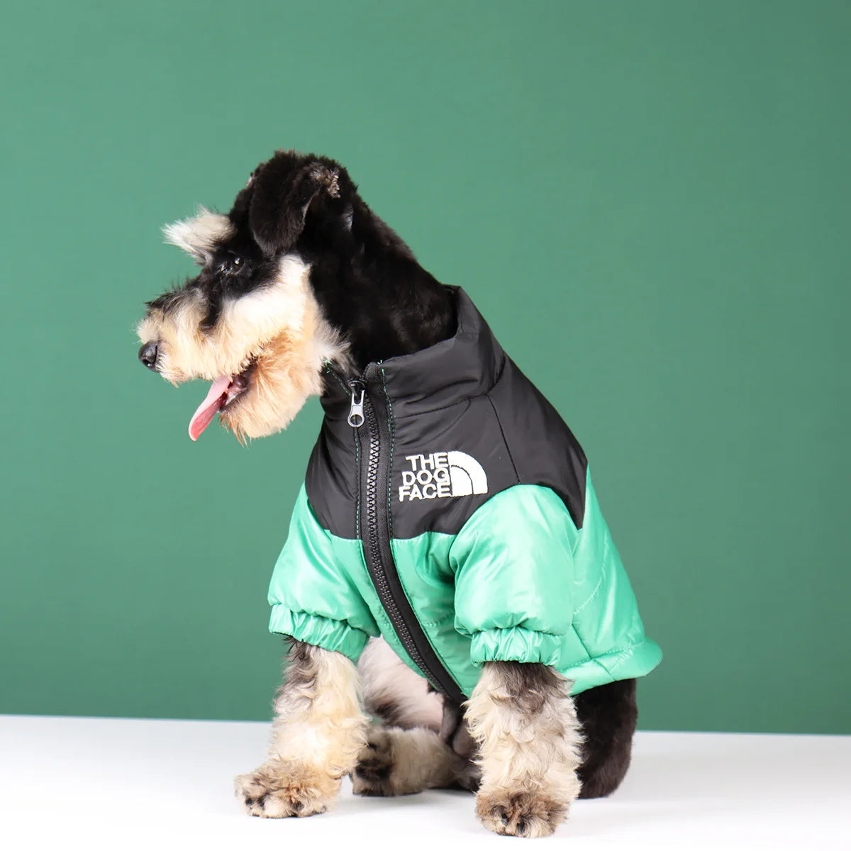 Winter Windproof Dog Jacket | Reflective Coat for Small & Medium Dogs