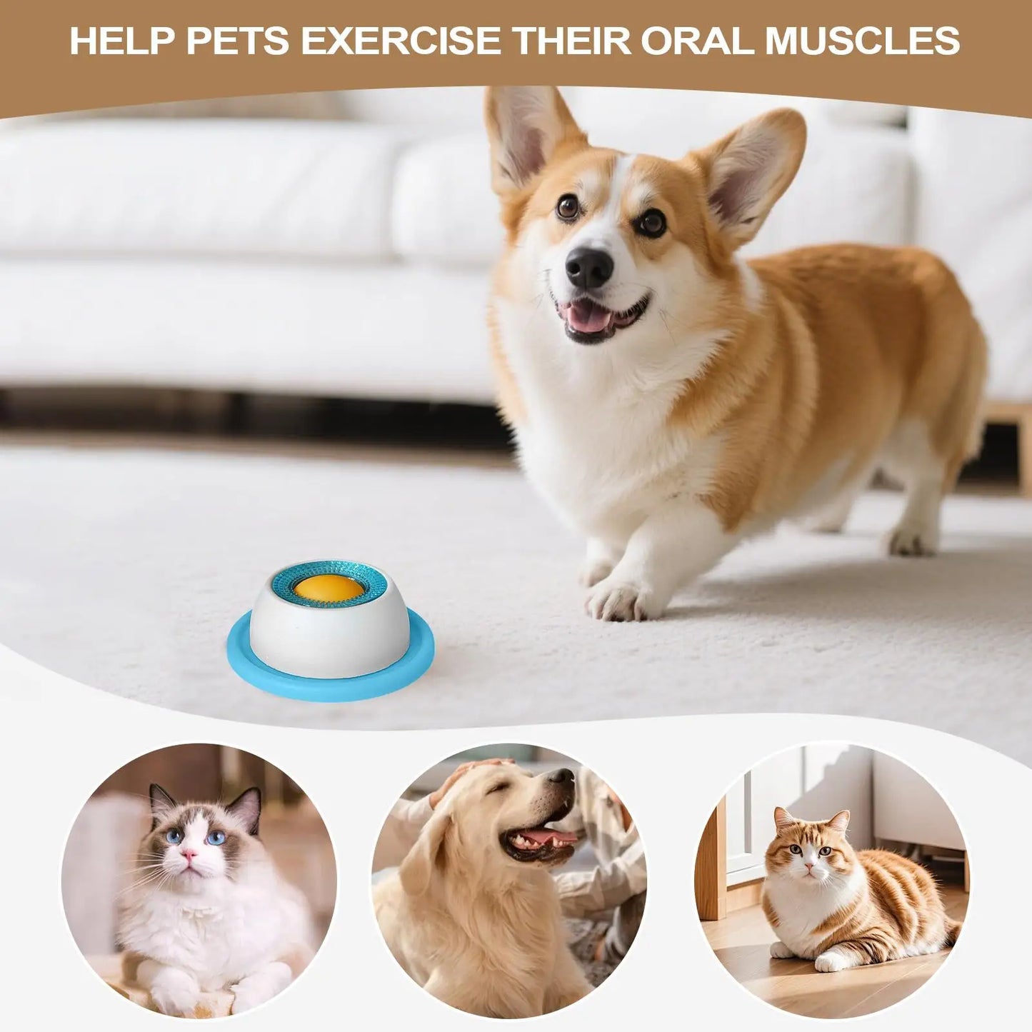 Interactive Dog Lick Toy & Slow Feeder | Puppy Training Enrichment Dispenser