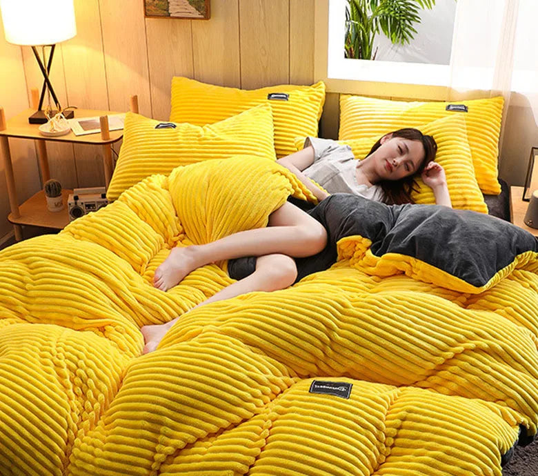 3PCS Winter Coral Fleece Bedding Set | Thick Duvet Cover & Pillowcase King Queen Twin