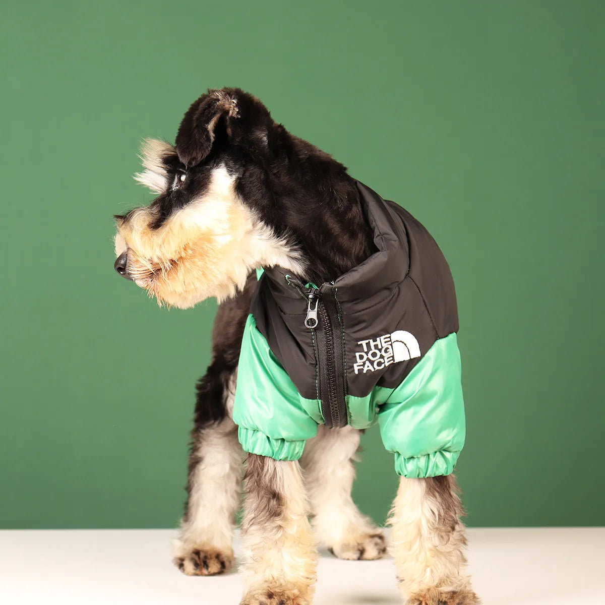 Winter Windproof Dog Jacket | Reflective Coat for Small & Medium Dogs