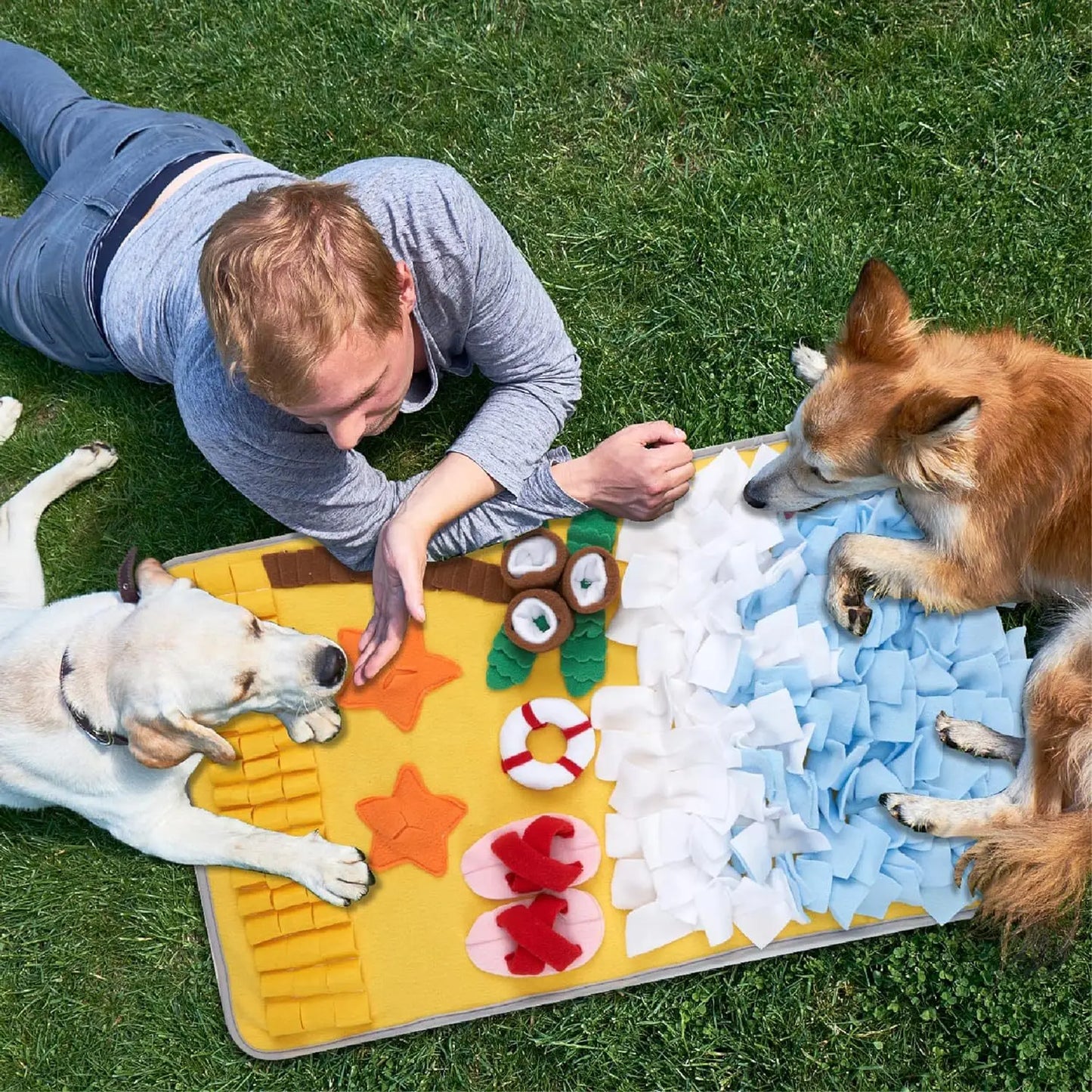 Dog Sniffing Mat & Slow Feeder Blanket | Anti-Boredom Training Toy