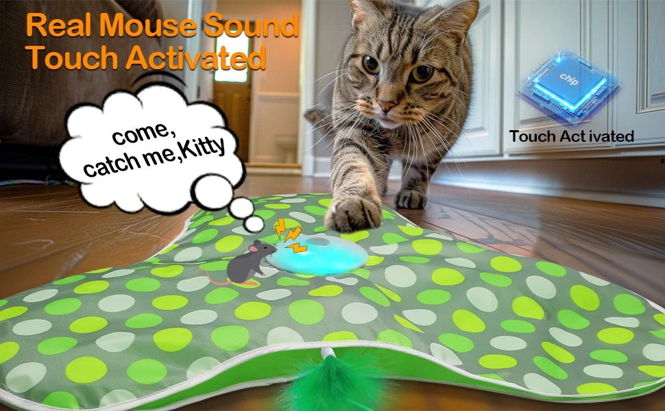 Smart Hide & Seek Cat Toy | Motion Activated Mouse & Feather Kitten Teaser
