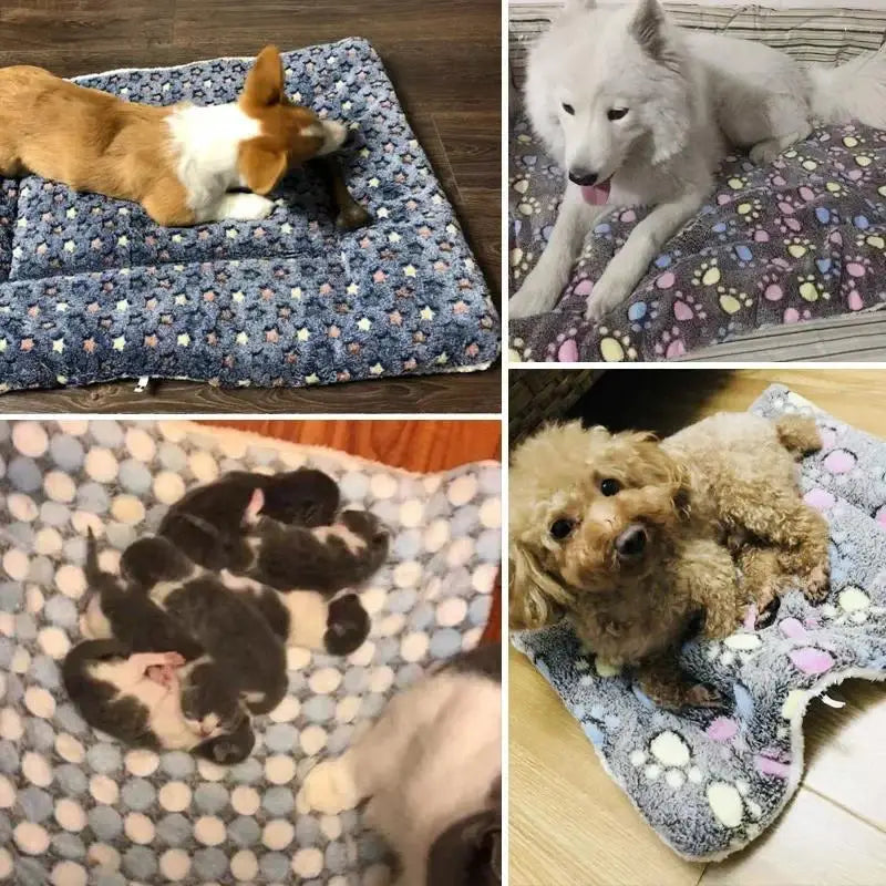 Soft Fleece Dog & Cat Sleeping Mat | Washable Warm Bear Pattern Pet Blanket
