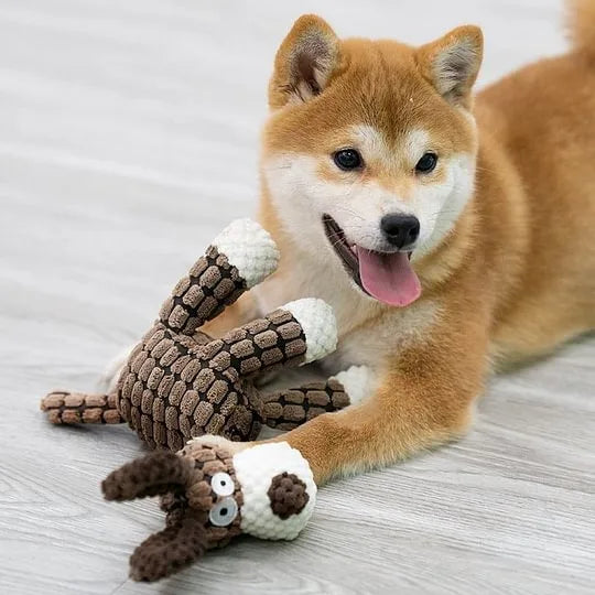 Plush Squeaky Donkey Dog Chew Toy | Interactive Teething Toy for Small Dogs