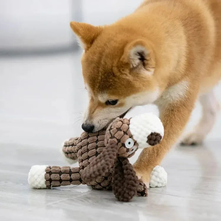 Plush Squeaky Donkey Dog Chew Toy | Interactive Teething Toy for Small Dogs
